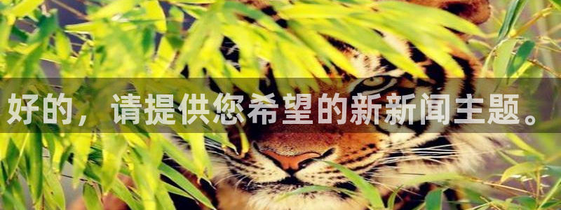 好的，请提供您希望的新新闻主题。