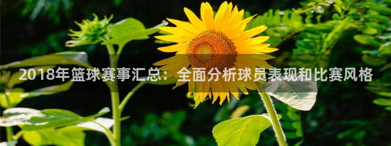 2018年篮球赛事汇总：全面分析球员表现和比赛风格