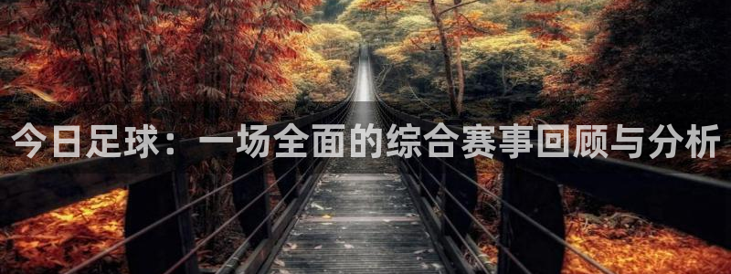 今日足球：一场全面的综合赛事回顾与分析