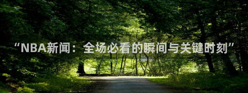 “NBA新闻：全场必看的瞬间与关键时刻”