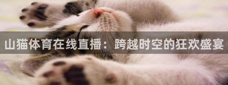 山猫体育在线直播：跨越时空的狂欢盛宴