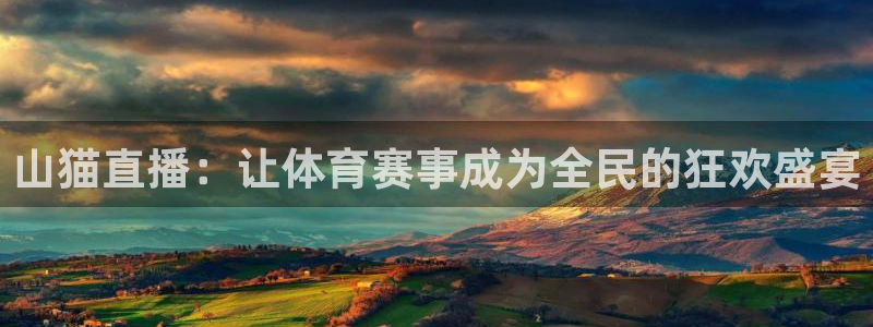 山猫直播：让体育赛事成为全民的狂欢盛宴