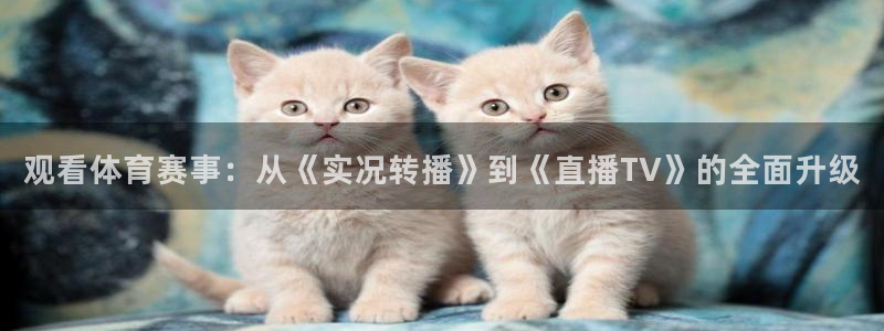 观看体育赛事：从《实况转播》到《直播TV》的全面升级