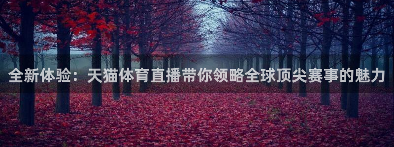 全新体验：天猫体育直播带你领略全球顶尖赛事的魅力