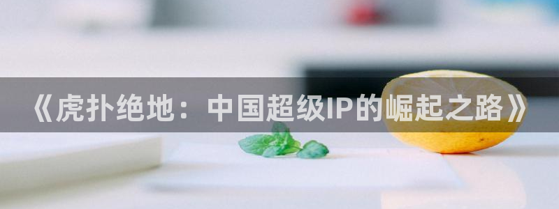 《虎扑绝地：中国超级IP的崛起之路》