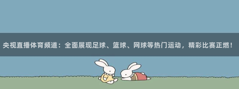央视直播体育频道：全面展现足球、篮球、网球等热门运动，精彩比赛正燃！