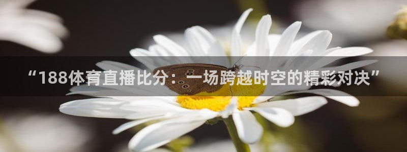 “188体育直播比分：一场跨越时空的精彩对决”