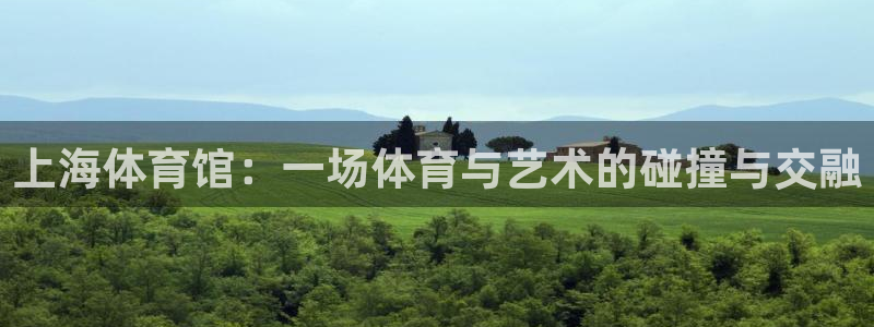 上海体育馆：一场体育与艺术的碰撞与交融