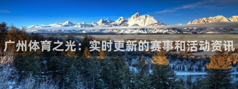 广州体育之光：实时更新的赛事和活动资讯