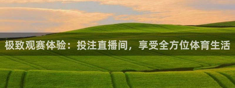 极致观赛体验：投注直播间，享受全方位体育生活