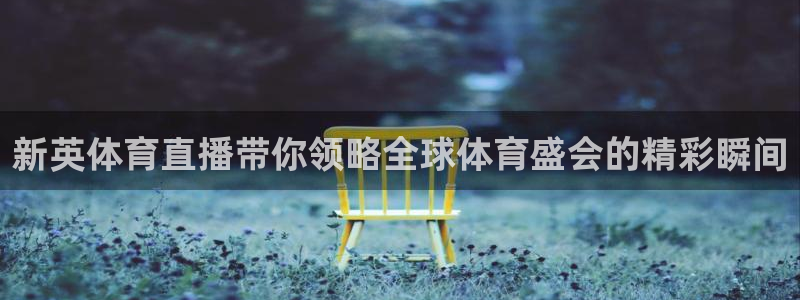 新英体育直播带你领略全球体育盛会的精彩瞬间