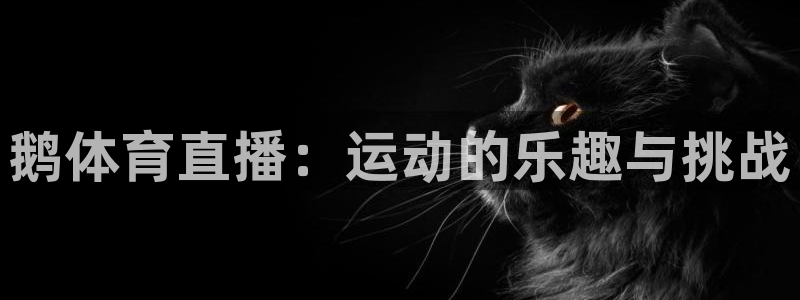 鹅体育直播：运动的乐趣与挑战