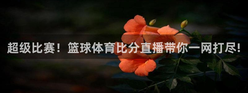 超级比赛！篮球体育比分直播带你一网打尽!