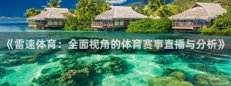 《雷速体育：全面视角的体育赛事直播与分析》