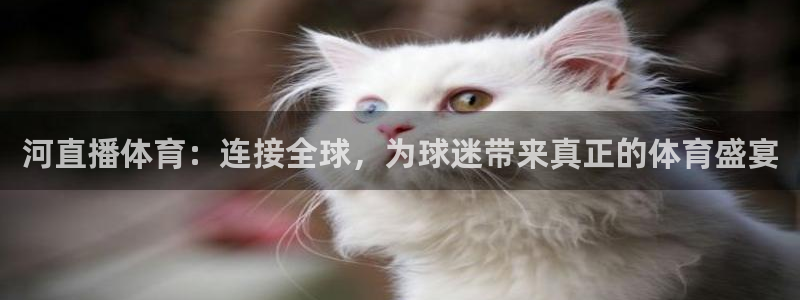 河直播体育：连接全球，为球迷带来真正的体育盛宴