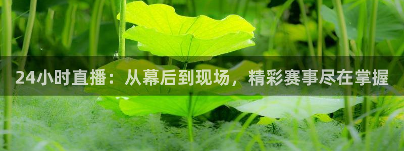 24小时直播：从幕后到现场，精彩赛事尽在掌握