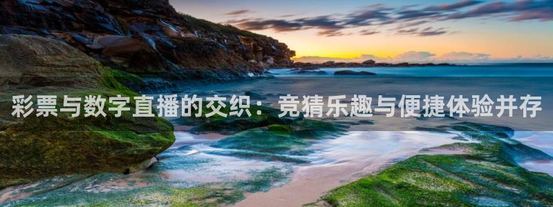 彩票与数字直播的交织：竞猜乐趣与便捷体验并存