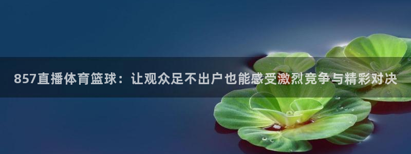 857直播体育篮球：让观众足不出户也能感受激烈竞争与精彩对决