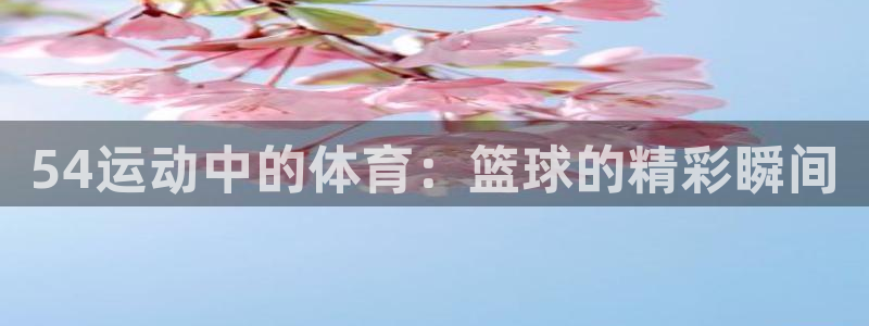 54运动中的体育：篮球的精彩瞬间