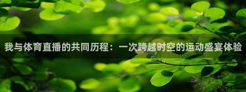 我与体育直播的共同历程：一次跨越时空的运动盛宴体验