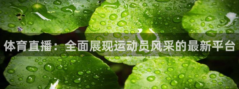 体育直播：全面展现运动员风采的最新平台
