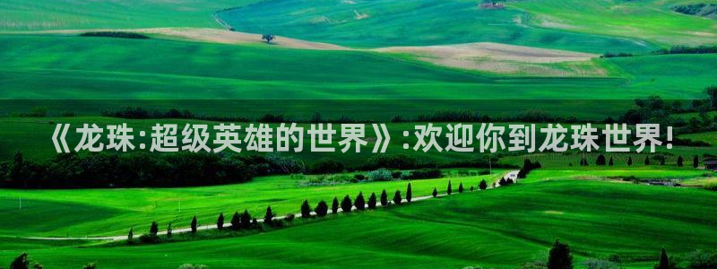 《龙珠:超级英雄的世界》:欢迎你到龙珠世界!