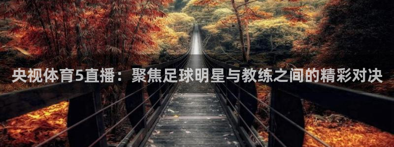 央视体育5直播：聚焦足球明星与教练之间的精彩对决