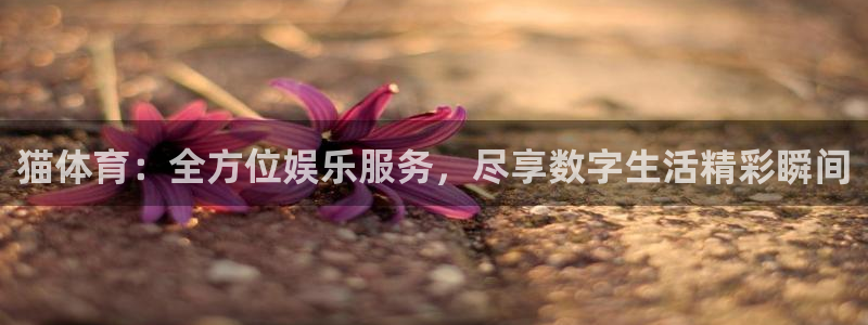 猫体育：全方位娱乐服务，尽享数字生活精彩瞬间