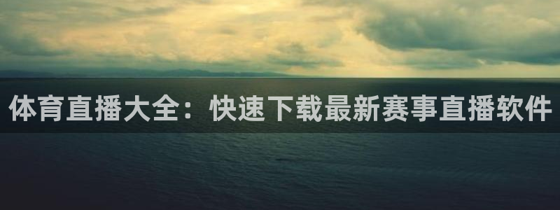 体育直播大全：快速下载最新赛事直播软件