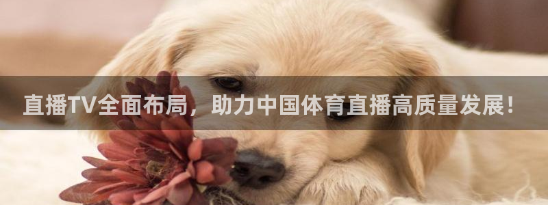 直播TV全面布局，助力中国体育直播高质量发展！