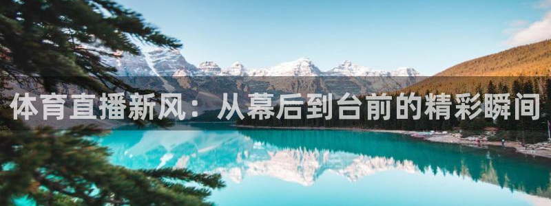体育直播新风：从幕后到台前的精彩瞬间