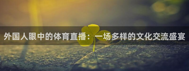 外国人眼中的体育直播：一场多样的文化交流盛宴