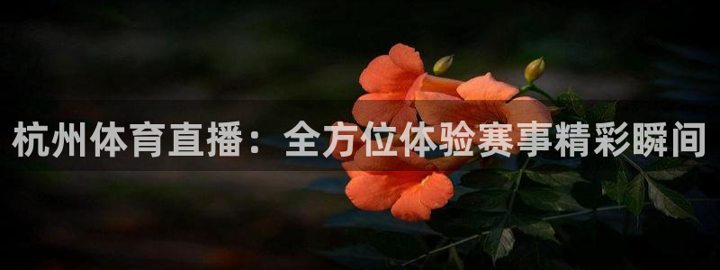 杭州体育直播：全方位体验赛事精彩瞬间