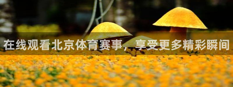 在线观看北京体育赛事，享受更多精彩瞬间