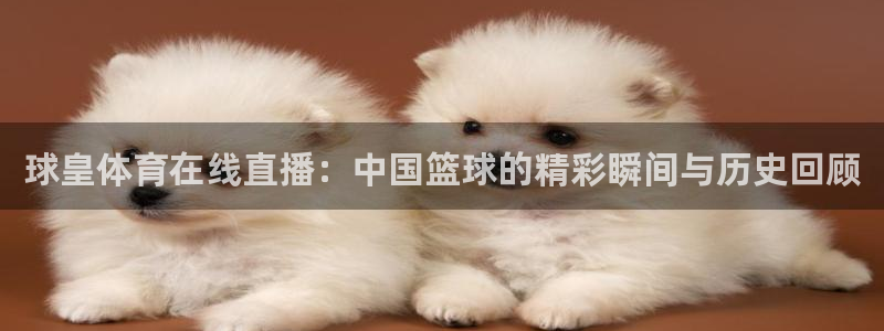 球皇体育在线直播：中国篮球的精彩瞬间与历史回顾