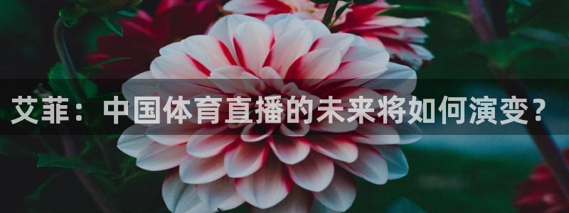 艾菲：中国体育直播的未来将如何演变？