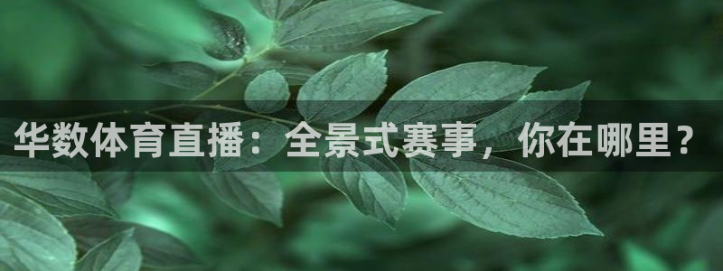 华数体育直播：全景式赛事，你在哪里？
