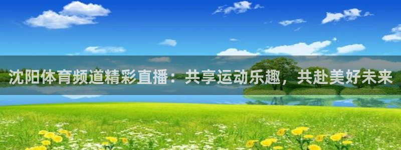 沈阳体育频道精彩直播：共享运动乐趣，共赴美好未来