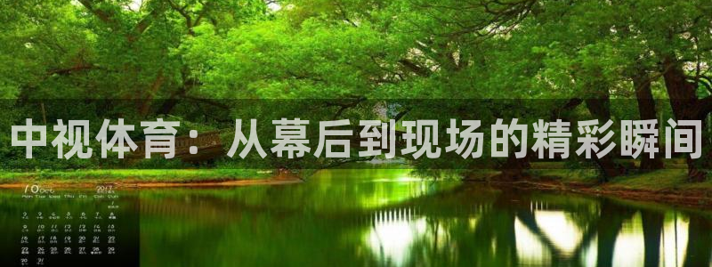 中视体育：从幕后到现场的精彩瞬间