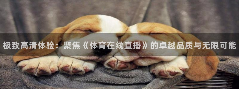 极致高清体验：聚焦《体育在线直播》的卓越品质与无限可能