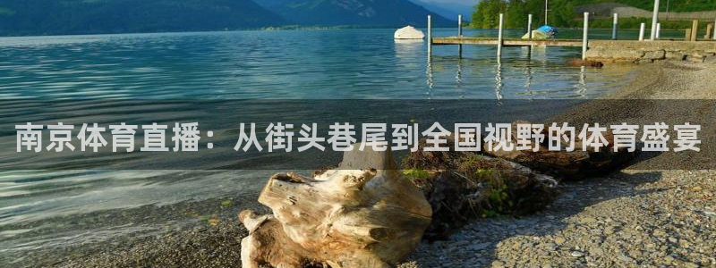南京体育直播：从街头巷尾到全国视野的体育盛宴