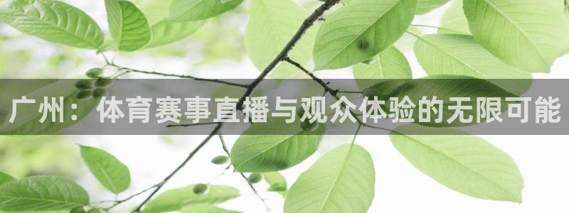广州：体育赛事直播与观众体验的无限可能