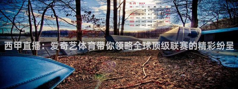 西甲直播：爱奇艺体育带你领略全球顶级联赛的精彩纷呈