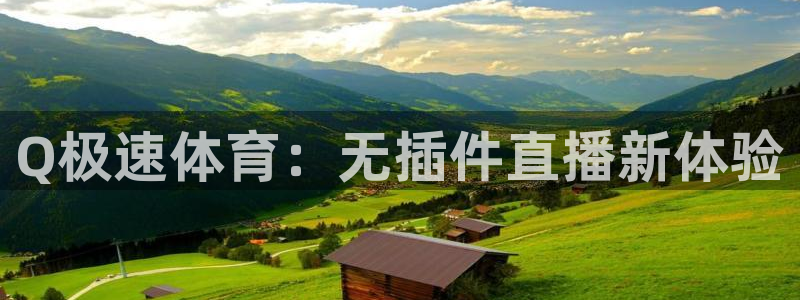 Q极速体育：无插件直播新体验