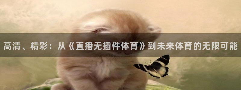 高清、精彩：从《直播无插件体育》到未来体育的无限可能