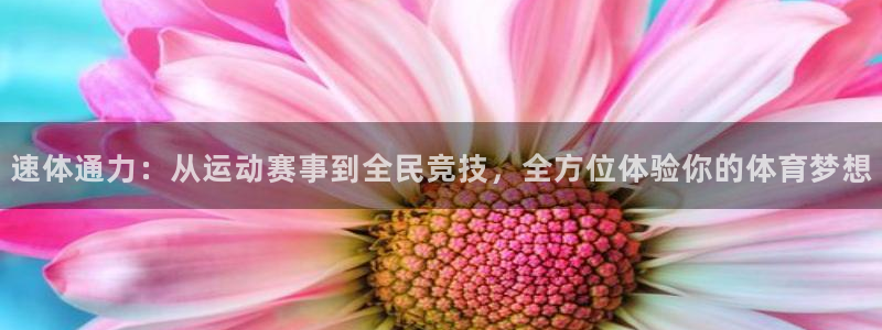 速体通力：从运动赛事到全民竞技，全方位体验你的体育梦想