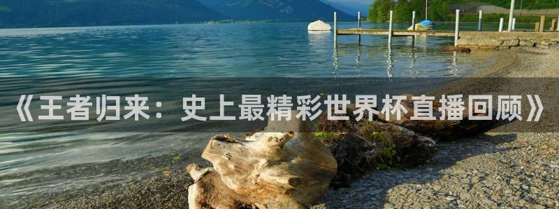 《王者归来：史上最精彩世界杯直播回顾》