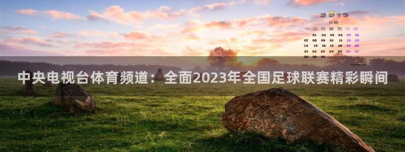 中央电视台体育频道：全面2023年全国足球联赛精彩瞬间