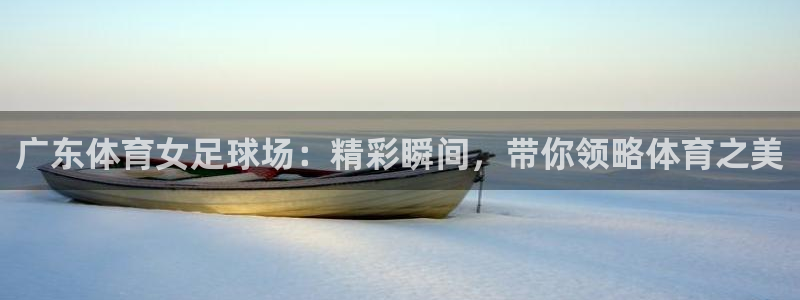 广东体育女足球场：精彩瞬间，带你领略体育之美